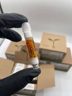 raw garden carts raw garden cart raw garden sauce carts raw garden carts near me raw garden sauce cart raw garden live resin carts fake raw garden carts raw garden carts price raw garden carts reddit raw garden live resin cart are raw garden carts good raw garden 1g cart raw garden cart review raw garden cart price raw garden carts review best raw garden cart fake raw garden cart are raw garden carts real are raw garden carts safe fake raw garden carts reddit raw garden carts fake vs real raw garden carts flavors are raw garden carts legit best raw garden carts buy raw garden carts carts raw garden fake raw garden carts vs real highest thc raw garden cart how good are raw garden carts how much are raw garden carts how much is a raw garden cart how to verify raw garden carts is raw garden carts real live resin carts raw garden raw garden 1g cart price raw garden cart 1g