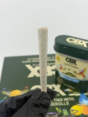 CBX 2G 6PK PREROLL TIN