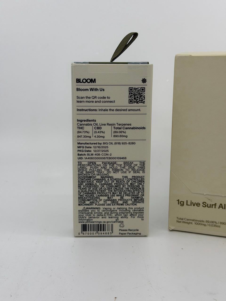 BLOOM 1G LIVE SURF AIO