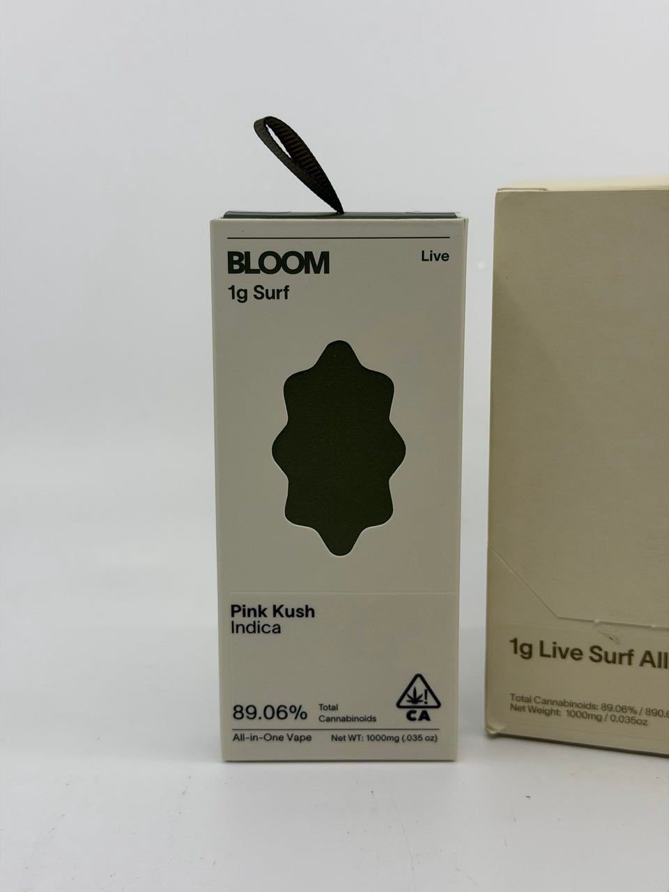 BLOOM 1G LIVE SURF AIO
